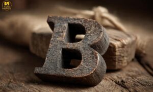 550+Rare Last Names That Start with B: Meaning, Origins & Significance