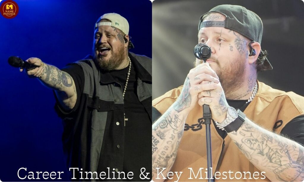 Career Timeline & Key Milestones